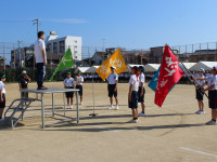 IMG_2239